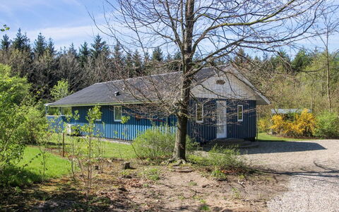 Alia - 30Km from the Sea: Biens, Ombre, Allée, Ferme
