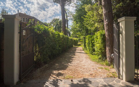 Casa Carla: Feuille, Vert, La Nature, Végétation, Arbuste, Jardin, Lumière Du Soleil, Ombre, Printemps, Piste
