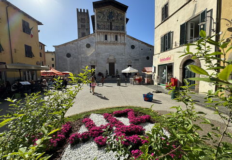 Anna: Bâtiment, Fenêtre, Ville, Façade, Pot De Fleur, Parapluie, Tableau De Plein Air, Mobilier De Jardin, Centre De La Ville, Plante D'Appartement