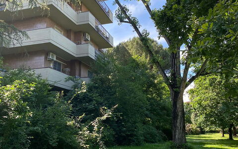 Suite Vogel: Végétation, Arbuste, Appartement, Jardin, Condominium, Aménagement Paysager, À Feuilles Persistantes