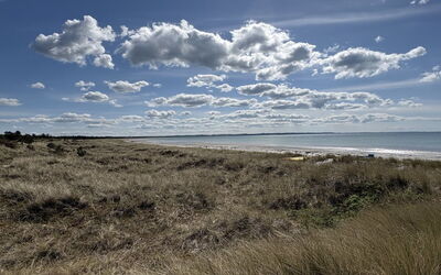 Fridborg - 425M from the Sea