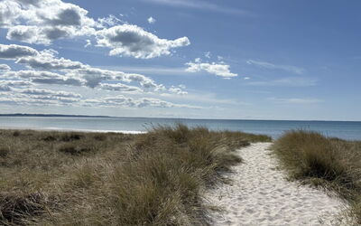 Fridborg - 425M from the Sea