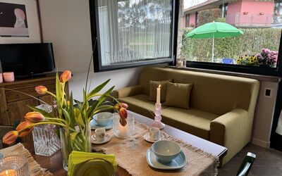 Alfa 1: Bois, Design Intérieur, Meubles, Sol, Pièce, Salon, Canapé, Plante D'Appartement, Table Basse