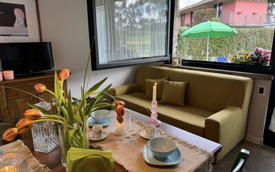Alfa 2: Bois, Design Intérieur, Meubles, Sol, Pièce, Salon, Canapé, Plante D'Appartement, Table Basse