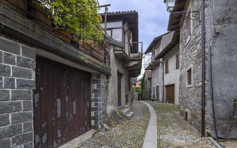 Il Glicine: Arbuste, Zone Résidentielle, Domicile, Biens, Jardin, Pelouse, Aménagement Paysager, Cour, Manoir, Villa