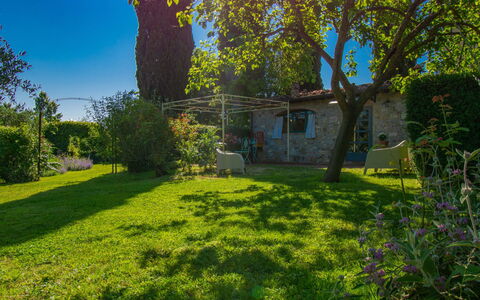 Il Fienile: Arbuste, Zone Résidentielle, Domicile, Biens, Jardin, Pelouse, Aménagement Paysager, Cour, Manoir, Villa