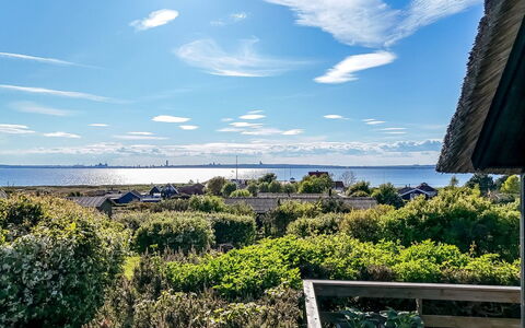 Minza - 150M from the Sea: Biens, Ombre, Allée, Ferme