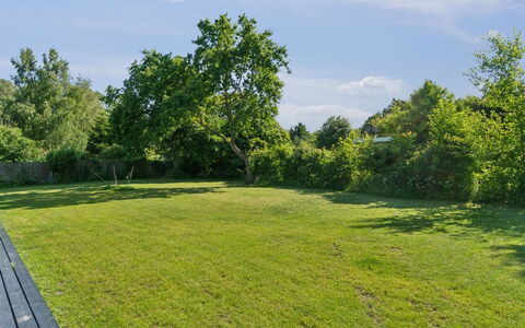Thrym - 2.5Km from the Sea: Végétation, Arbuste, Printemps, Chalet, Jardin, Ombre, Arrière-Cour, Cour, Chaise