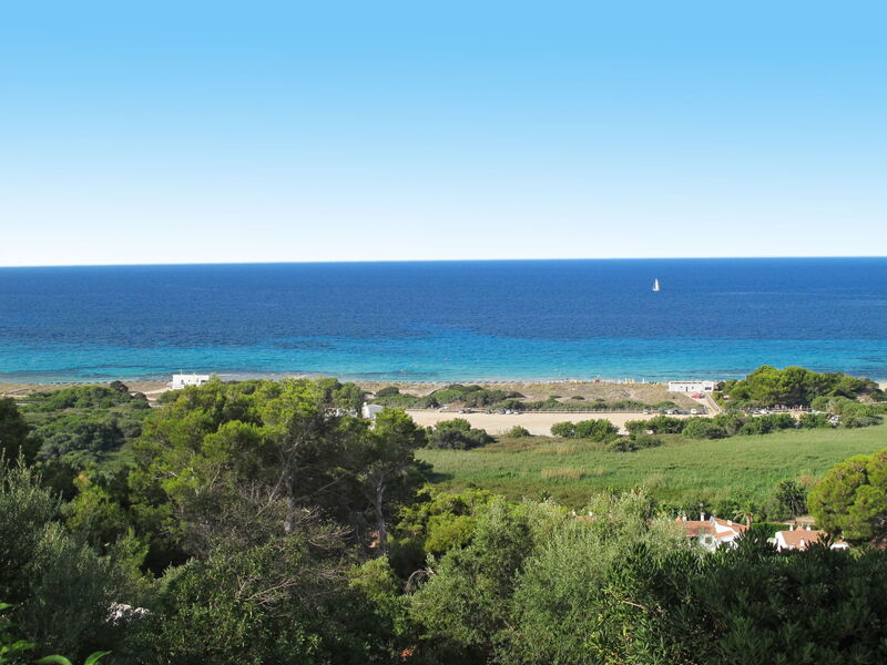 Llebeig 155