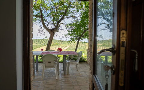Logement:&nbsp;Grappolo Verde 648.1