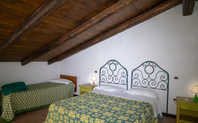 Logement:&nbsp;Grappolo Verde 648.1