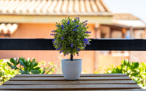Appartamento Sala: Mer, Côte, Plage, Océan, Ombre, Balcon, Planche, Mobilier De Jardin