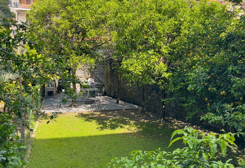 Corso Roma 15 Vacanze - Levanto: Vert, Feuille, Végétation, Arbuste, Jardin, Couverture De Sol, Printemps, Aménagement Paysager, Arrière-Cour, Cour