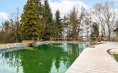 Oase im Grünen: Piscine, Réflexion, Réservoir, L'Hiver, Étang, Mélèze, Caractéristique De L'Eau, Recours