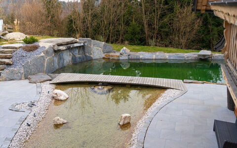 Oase im Grünen: Roche, Caractéristique De L'Eau, Composite, Jardin, Dalle, Arrière-Cour, Aménagement Paysager, Piscine, Étang, Conception