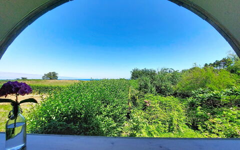 Le Préau: Vert, La Nature, Lumière Du Soleil, Jardin, Aménagement Paysager, Plantation