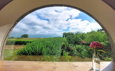 Le Préau: Cambre, Jardin, Plantation, Daylighting, Aménagement Paysager
