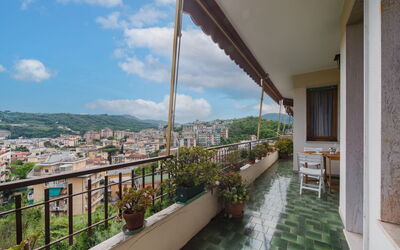 Caprifoglio
