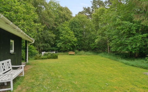 Tekla - from the Sea: Herbe, Arbre, Arbuste, Lot Terre, Jardin, Prairie, Couverture De Sol, Pelouse, Zone Rurale