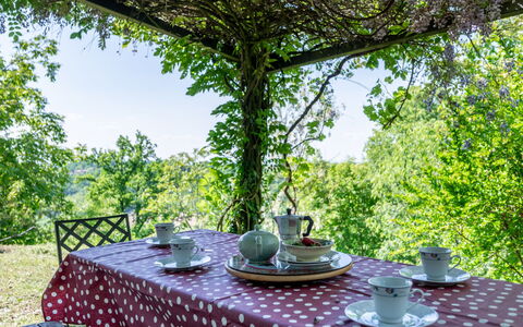 Mainero: Meubles, Table, Nappe De Table, Chaise, Mobilier De Jardin, Tableau De Plein Air, Jardin, Ombre, Table Cuisine Et Salle A Manger, Cour