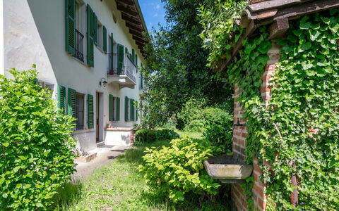 Mainero: Vert, Arbuste, Maison, Jardin, Couverture De Sol, Chalet, Biens, Pelouse, Cour, Arrière-Cour