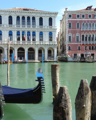 Venice Photobirding, Nature And Culture