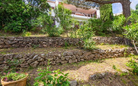 Maïca: Végétation, Arbuste, Communauté Des Plantes, Couverture De Sol, Jardin, Mur De Pierre, Aménagement Paysager, Ombre, Arrière-Cour