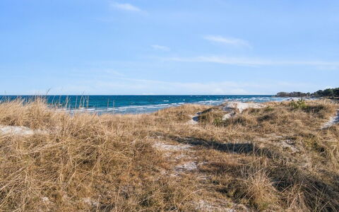 Laurentius - 50M from the Sea: Maison, Domicile, Toit, Chalet, Biens, Aménagement Paysager, Batiments Jardin, Siding, Ferme