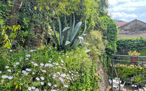 Schöner Augenblick: Fleur, Arbuste, Jardin, Plante À Fleurs, Aménagement Paysager, Arrière-Cour, Jardin Botanique, Wildflower, Herbe
