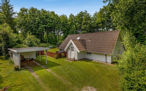 Ejvind - 30Km from the Sea: Biens, Ombre, Allée, Ferme