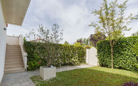 White Home: Vert, Arbuste, Jardin, Zone Résidentielle, Lot Terre, Couverture De Sol, Pelouse, Aménagement Paysager, Ombre