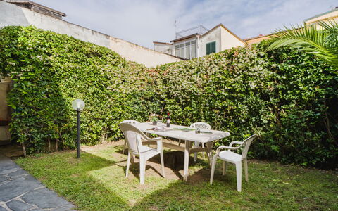 Lido Versilia: Arbuste, Couverture De Sol, Jardin, Ombre, Arrière-Cour, Aménagement Paysager, Cour, Haie, Cour, Plante D'Appartement