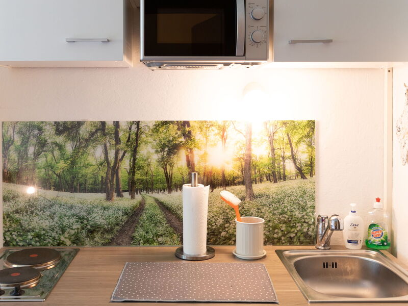 Logement:&nbsp;Studio Esche 2 651.2