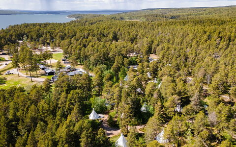 Lagunen Villa 3: Arbre, Environnement Naturel, Paysage, Lot Terre, Forêt, Réserve Naturelle, Des Bois, Aménagement Paysager, Bosquet