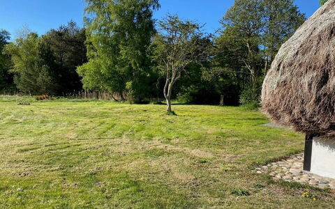 Annabeth - 900M from the Sea: Herbe, Arbre, Prairie, Plaine, Lot Terre, Zone Rurale, À Déchaumer, Pelouse, Pâturage