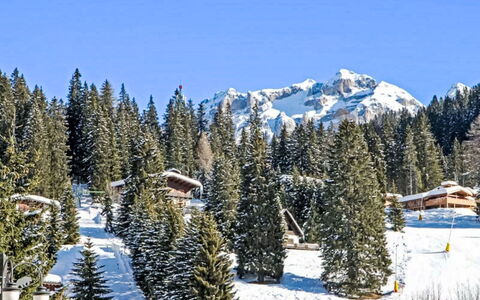 Boris: Neige, Arbre, Montagnes Relief, L'Hiver, Montagne, Chaîne De Montagnes, Glacial Relief, Station De Montagne, Forêt
