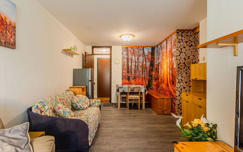 Boris: Bois, Design Intérieur, Meubles, Sol, Plafond, Sol, Pièce, Appartement, Salon, Tache De Bois