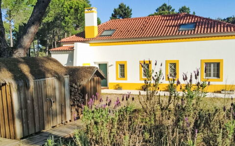 Apartamento 2 Quartos- Ua 94: Jaune, Domicile, Chalet, Ferme, Biens, Jardin, Aménagement Paysager, Hacienda, Pelouse, Cour