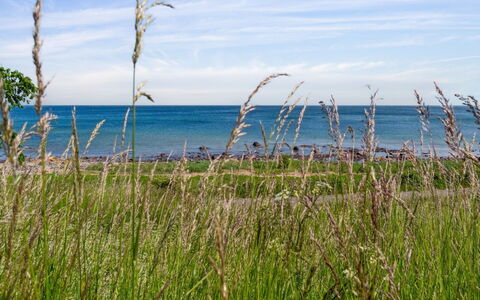 Ayo - 75M from the Sea: Appartement, Condominium, Biens, Balcon, Villa, Hôtel