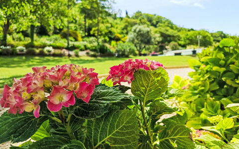 Douce Campagne: Jardin, Mobilier De Jardin, Recours, Ombre, Loisir, Pelouse, Eco Hôtel, Aménagement Paysager, Tente, Parc