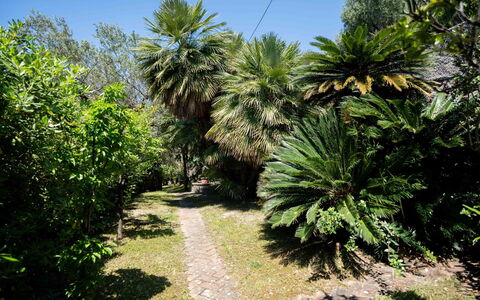 Villa Girasole: Feuille, Végétation, Arbuste, Jardin, Suppression Des Plantes Ligneuses, Jardin Botanique, Aménagement Paysager