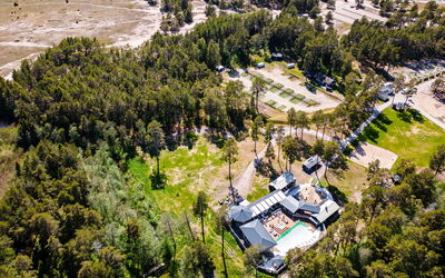 Hölick Tallen 1
