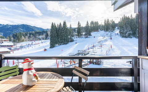 Grand Morillon: L'Hiver, Neige, Gelé, Station De Montagne, Glacial Relief, Mélèze, Station De Ski, Famille Pine