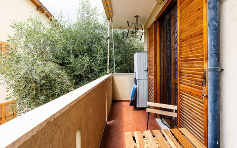 Casa Anna: Arbre, Surface De La Route, Automotive Exterieur, Voiture, Espace Public, Asphalte, Rue, Parking, Familiale