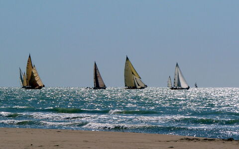 Appartamento Marcella: Bateau, Voile, Navire, Voile, Mât, Voile, Mer, Océan, Des Loisirs