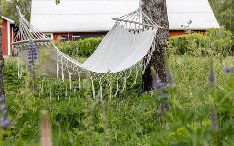 Bygget: Jardin, Printemps, Pelouse, Arrière-Cour, Cour, Net