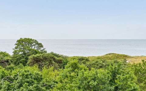 Mariam - 100M from the Sea: Ciel, Bleu, Végétation, Horizon, Paysage Naturel, Écorégion, Nuage, Été, Communauté Des Plantes, Arbuste