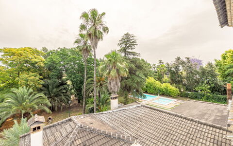 Sevilla Sanlúcar la Mayor 100: Arbre, Zone Résidentielle, Recours, Biens, Eco Hôtel, Hacienda, Ombre, Villa, Manoir