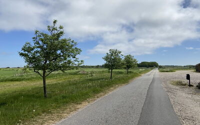 Kukka - 16Km from the Sea
