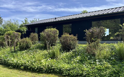 Radica - 400M from the Sea: Appartement, Condominium, Biens, Balcon, Villa, Hôtel